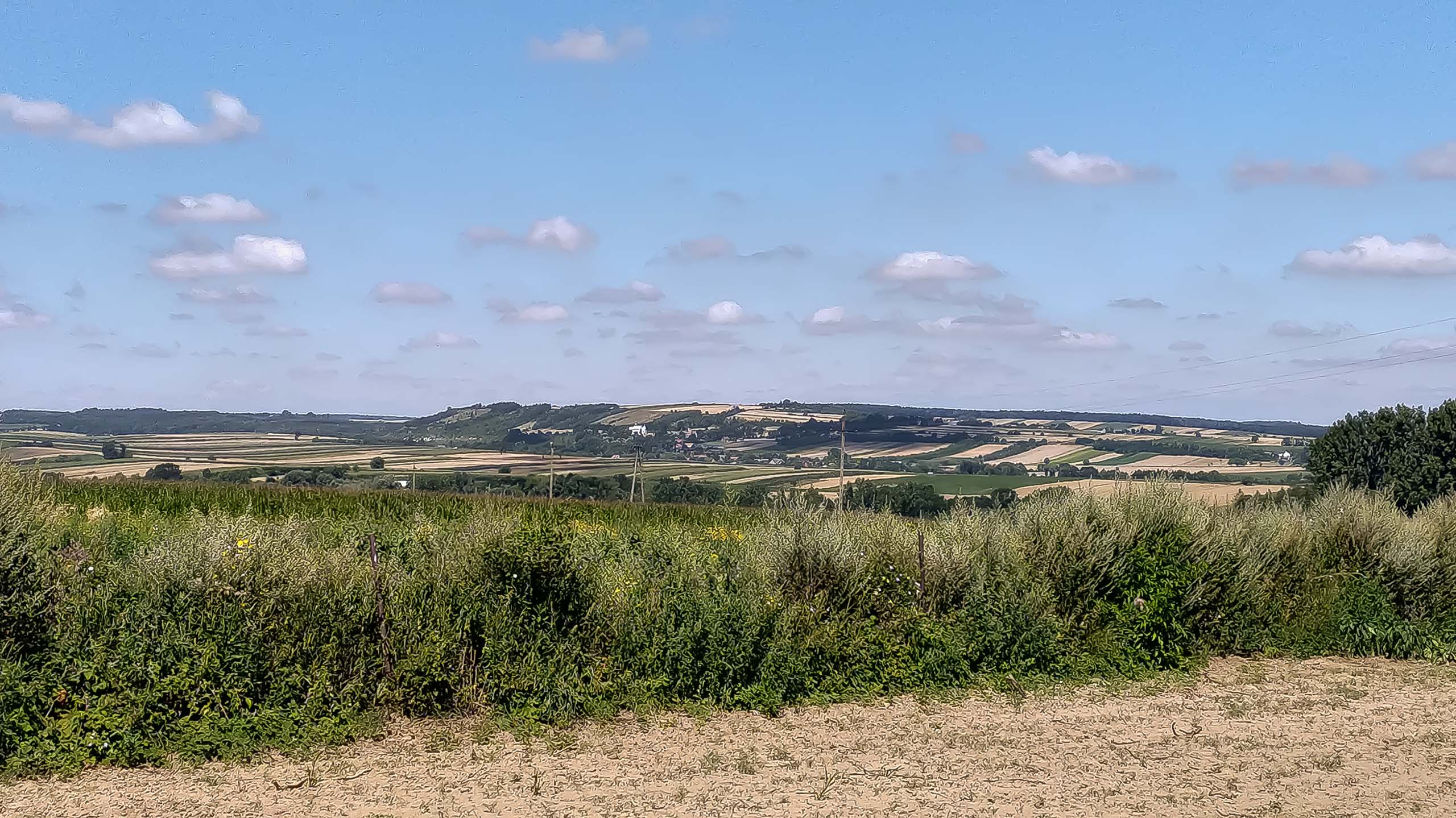 IMG 20200801 114536 kopia